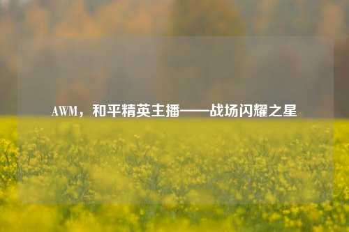 AWM,和平精英主播——战场闪耀之星