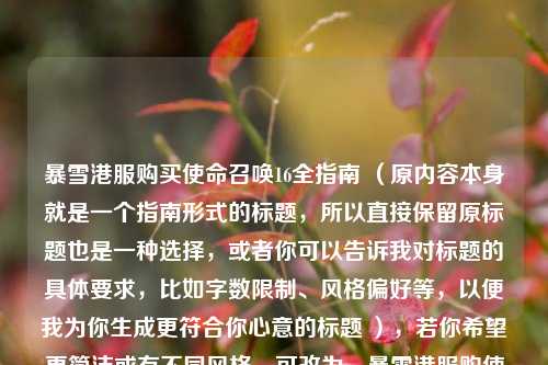 暴雪港服购买使命召唤16全指南 （原内容本身就是一个指南形式的标题，所以直接保留原标题也是一种选择，或者你可以告诉我对标题的具体要求，比如字数限制、风格偏好等，以便我为你生成更符合你心意的标题 ），若你希望更简洁或有不同风格，可改为，暴雪港服购使命召唤16指南