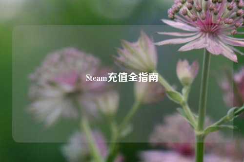 Steam充值全指南