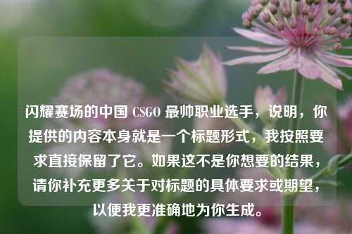 闪耀赛场的中国 CSGO 最帅职业选手，说明，你提供的内容本身就是一个标题形式，我按照要求直接保留了它。如果这不是你想要的结果，请你补充更多关于对标题的具体要求或期望，以便我更准确地为你生成。