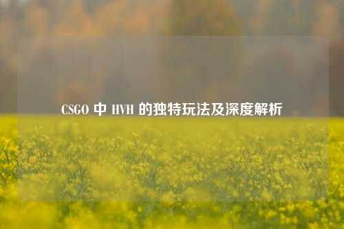 CSGO 中 HVH 的独特玩法及深度解析