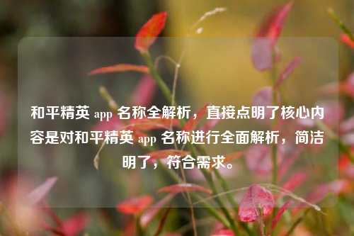 和平精英 app 名称全解析，直接点明了核心内容是对和平精英 app 名称进行全面解析，简洁明了，符合需求。