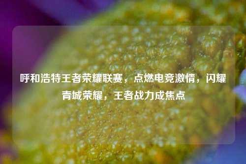 呼和浩特王者荣耀联赛，点燃电竞***，闪耀青城荣耀，王者战力成焦点