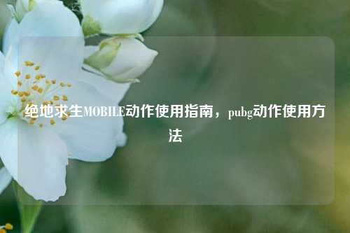 绝地求生MOBILE动作使用指南,pubg动作使用 ***