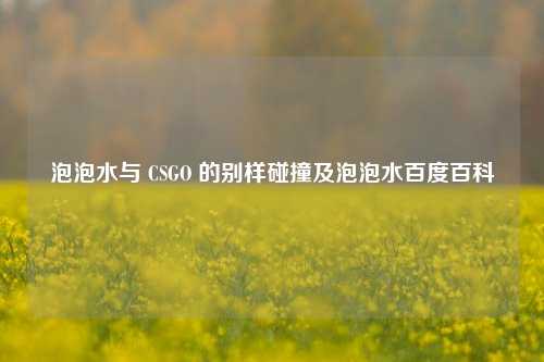 泡泡水与 CSGO 的别样碰撞及泡泡水百度百科