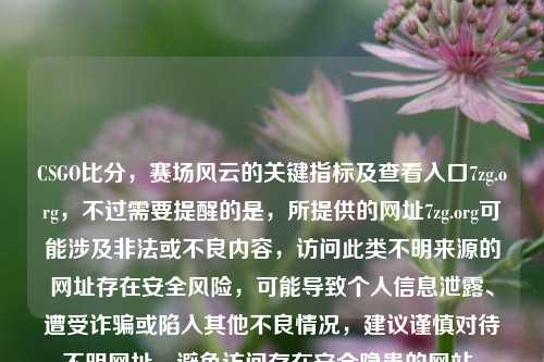 CSGO比分,赛场风云的关键指标及查看入口7zg.org,不过需要提醒的是,所提供的网址7zg.org可能涉及非法或不良内容,访问此类不明来源的网址存在安全风险,可能导致个人信息泄露、遭受诈骗或陷入其他不良情况,建议谨慎对待不明网址,避免访问存在安全隐患的网站。