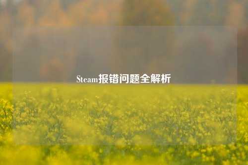 Steam报错问题全解析