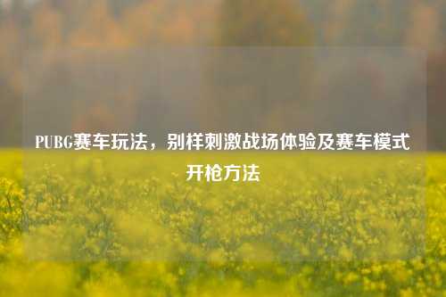 PUBG赛车玩法,别样***战场体验及赛车模式开枪 ***