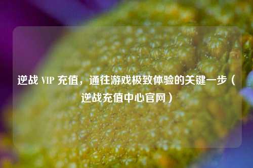 逆战 VIP 充值，通往游戏极致体验的关键一步（逆战充值中心官网）