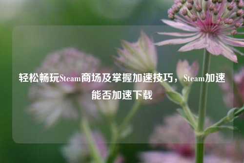 轻松畅玩Steam商场及掌握加速技巧,Steam加速能否加速下载