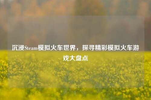 沉浸Steam模拟火车世界,探寻精彩模拟火车游戏大盘点