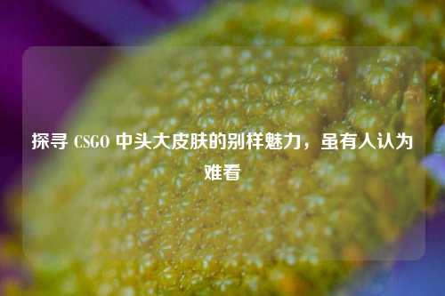 探寻 CSGO 中头大皮肤的别样魅力,虽有人认为难看