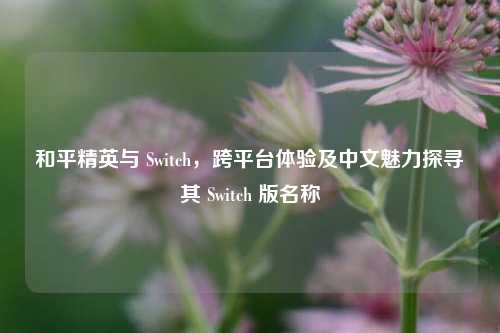 和平精英与 Switch,跨平台体验及中文魅力探寻其 Switch 版名称
