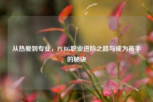 从热爱到专业,PUBG职业进阶之路与成为高手的秘诀