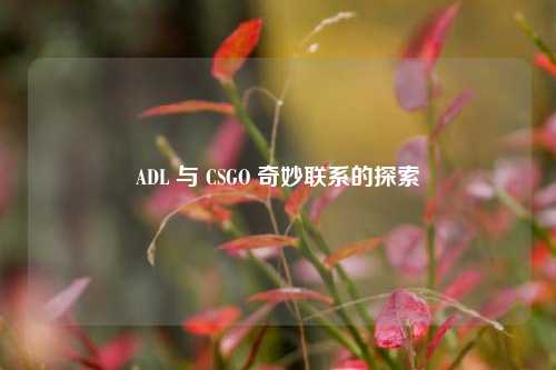 ADL 与 CSGO 奇妙联系的探索