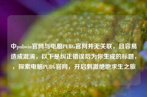 中pubwin官网与电脑PUBG官网并无关联,且容易造成混淆,以下是纠正错误后为你生成的标题,,探索电脑PUBG官网,开启***绝地求生之旅