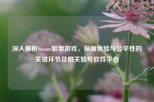 深入解析Steam验票游戏,保障体验与公平性的关键环节及相关验号软件平台