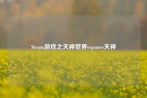Steam游戏之天神世界tsgames天神