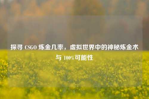 探寻 CSGO 炼金几率,虚拟世界中的神秘炼金术与 100%可能性