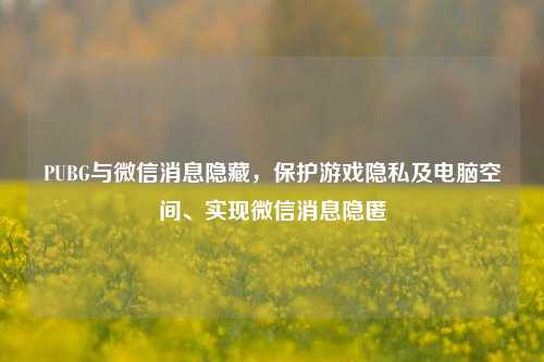 PUBG与微信消息隐藏,保护游戏隐私及电脑空间、实现微信消息隐匿