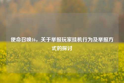 使命召唤16,关于举报玩家挂机行为及举报方式的探讨
