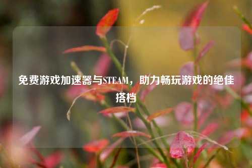免费游戏加速器与STEAM,助力畅玩游戏的绝佳搭档