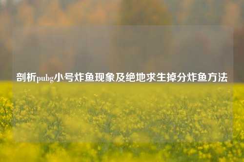 剖析pubg小号炸鱼现象及绝地求生掉分炸鱼 ***
