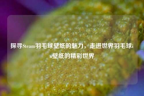 探寻Steam羽毛球壁纸的魅力,走进世界羽毛球in壁纸的精彩世界