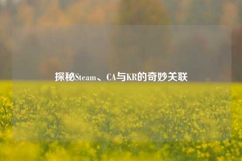 探秘Steam、CA与KR的奇妙关联
