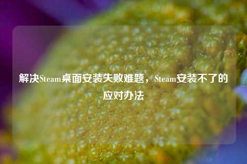解决Steam桌面安装失败难题,Steam安装不了的应对办法
