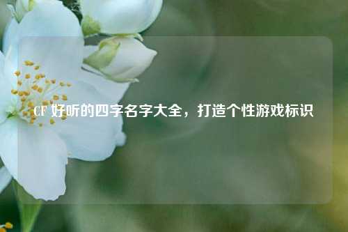 CF 好听的四字名字大全，打造个性游戏标识