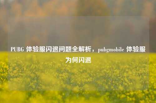 PUBG 体验服闪退问题全解析,pubgmobile 体验服为何闪退