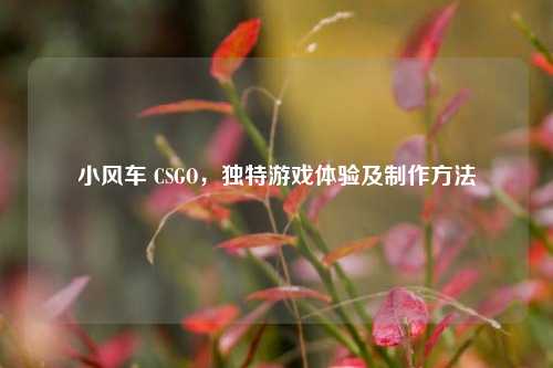 小风车 CSGO，独特游戏体验及 ***  *** 