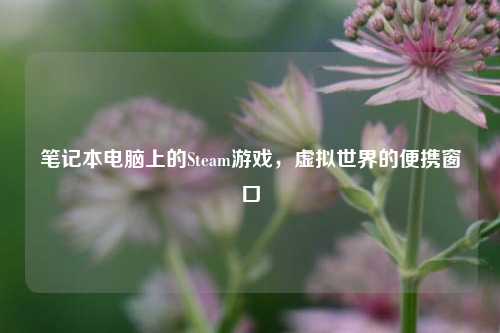笔记本电脑上的Steam游戏,虚拟世界的便携窗口