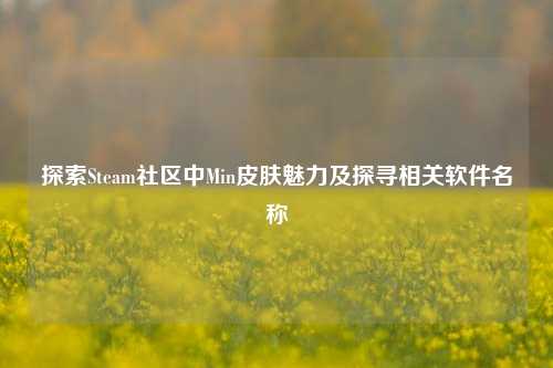 探索Steam社区中Min皮肤魅力及探寻相关软件名称