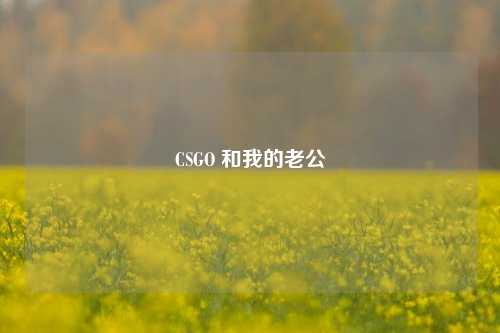 CSGO 和我的老公