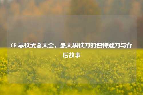 CF 黑铁武器大全，更大黑铁刀的独特魅力与背后故事