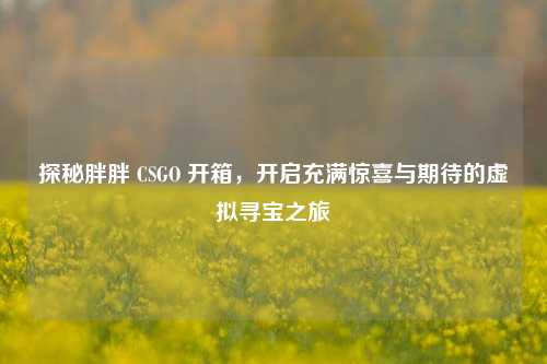 探秘胖胖 CSGO 开箱，开启充满惊喜与期待的虚拟寻宝之旅