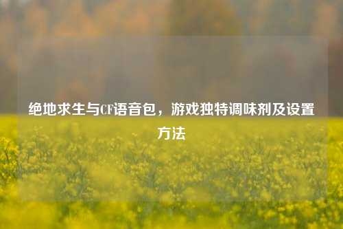 绝地求生与CF语音包,游戏独特调味剂及设置 ***