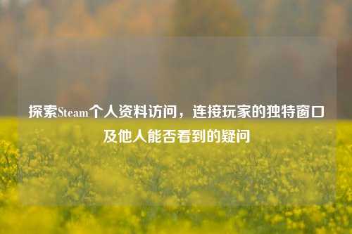 探索Steam个人资料访问，连接玩家的独特窗口及他人能否看到的疑问