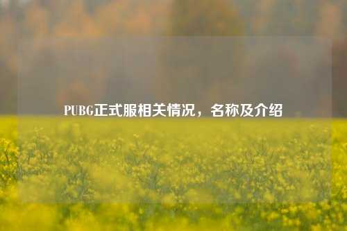 PUBG正式服相关情况，名称及介绍