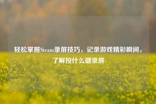 轻松掌握Steam录屏技巧，记录游戏精彩瞬间，了解按什么键录屏