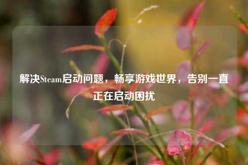 解决Steam启动问题，畅享游戏世界，告别一直正在启动困扰