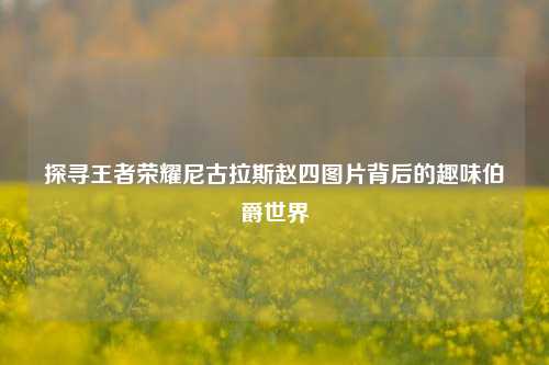探寻王者荣耀尼古拉斯赵四图片背后的趣味伯爵世界