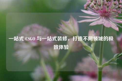 一站式 CSGO 与一站式装修，打造不同领域的极致体验