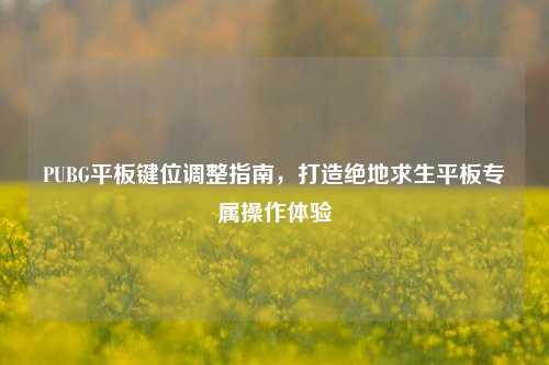 PUBG平板键位调整指南,打造绝地求生平板专属操作体验