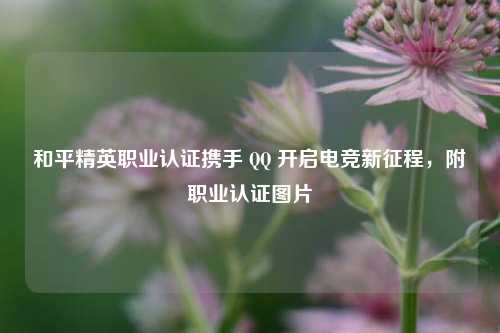 和平精英职业认证携手  ***  开启电竞新征程，附职业认证图片