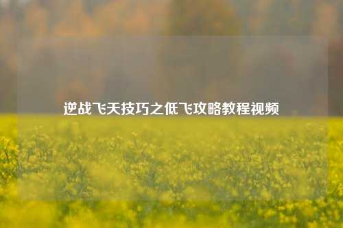 逆战飞天技巧之低飞攻略教程视频