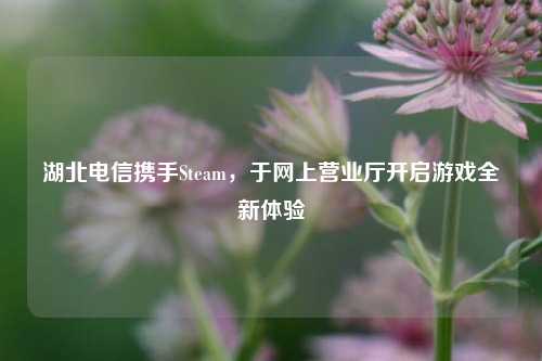湖北电信携手Steam,于网上营业厅开启游戏全新体验
