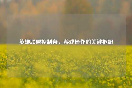 英雄联盟控制条,游戏操作的关键枢纽